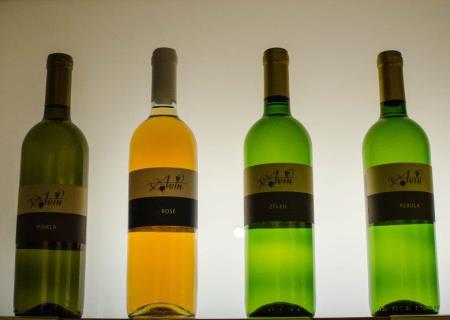 346491Vinoteka Vipava 1